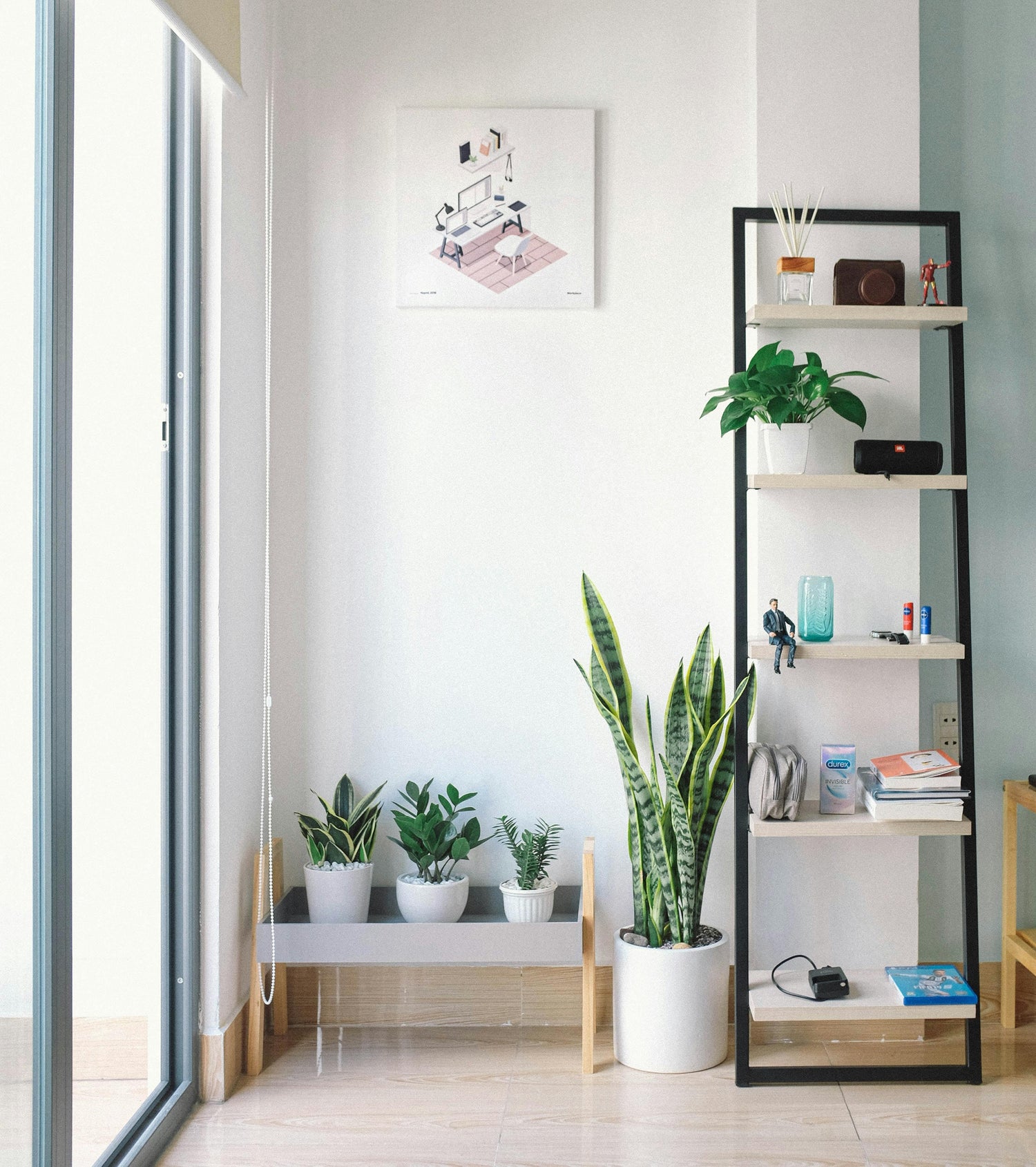 Huis & Tuin