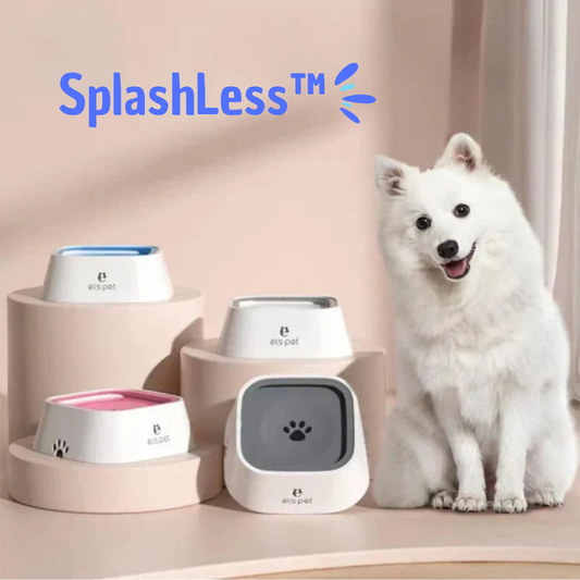SplashLess™ hondenbak voor een droge vloer!